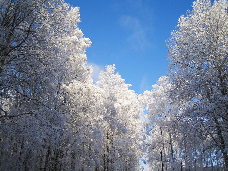 One-stop shop Winter aanbod